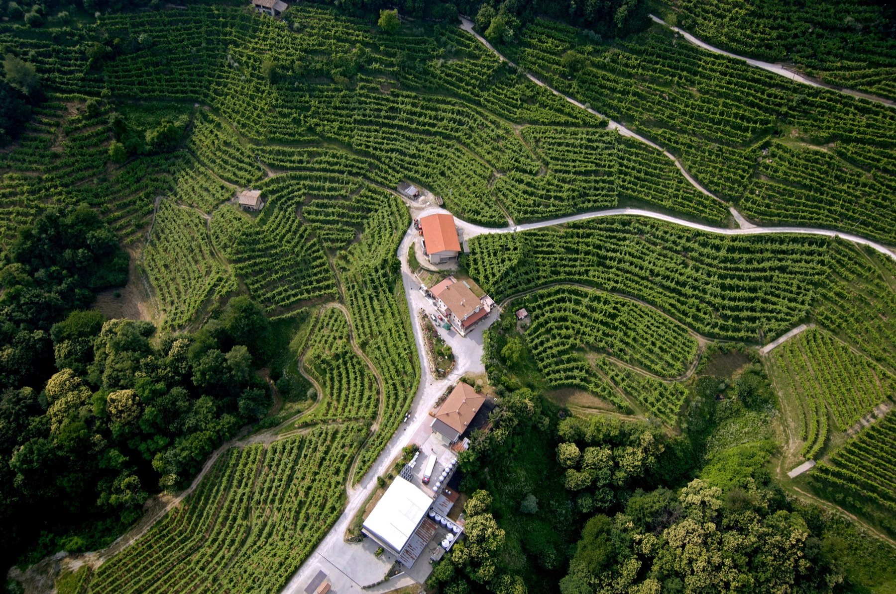 Vigneti terrazzati sulle colline di Valdobbiadene visti dall'alto